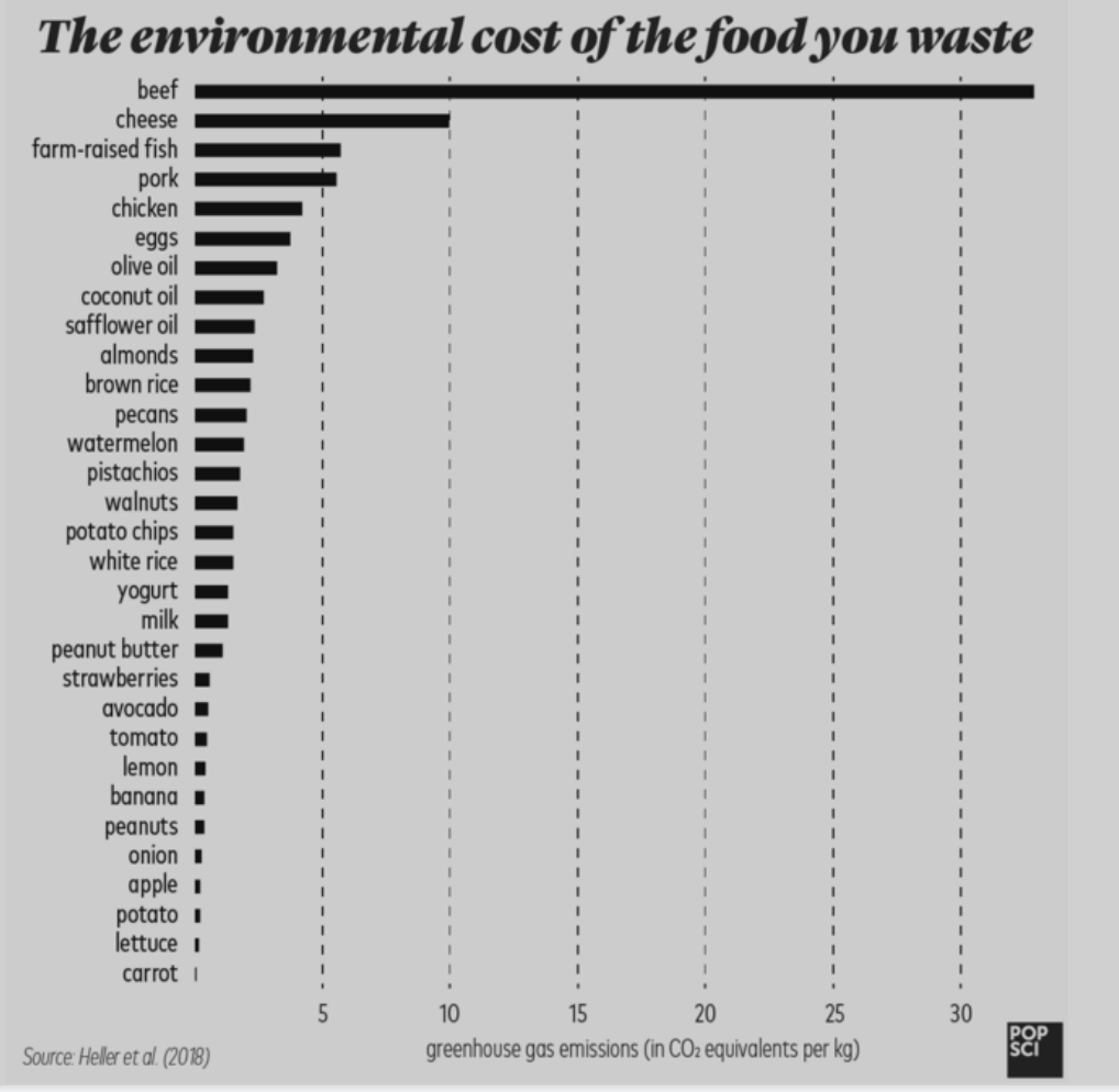 Environmental cost of the food you waste